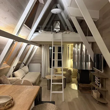 Chalet Roca Pina Pieds Des Pistes *